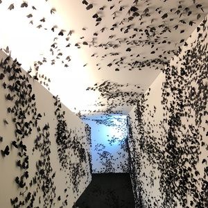 Meet your Posher, Candace